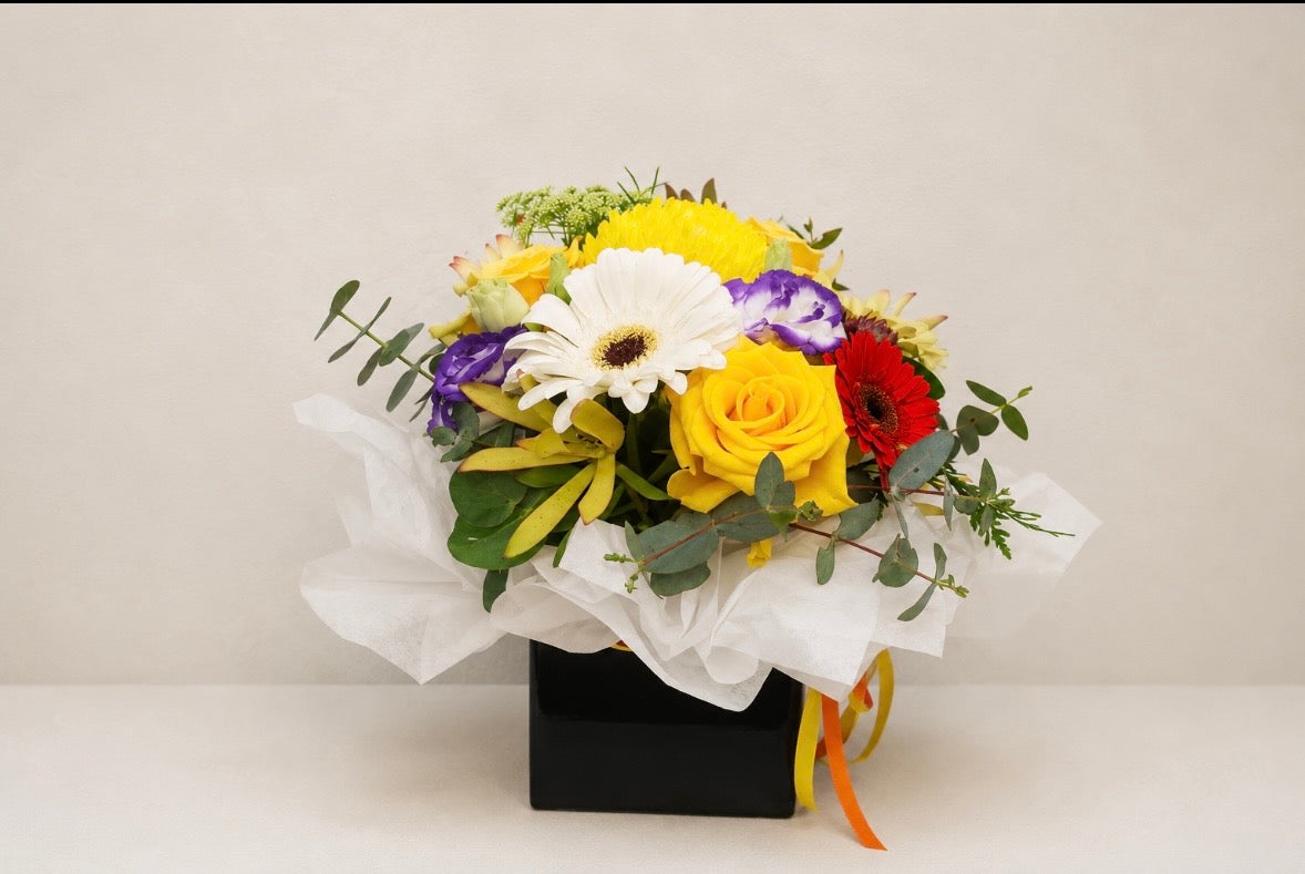 Golden Radiance (mini box)