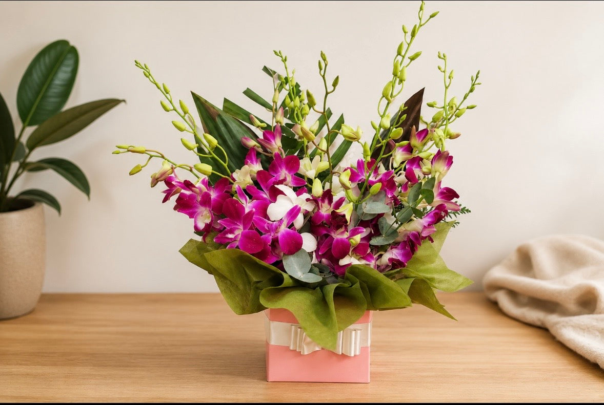 Orchid Elegance