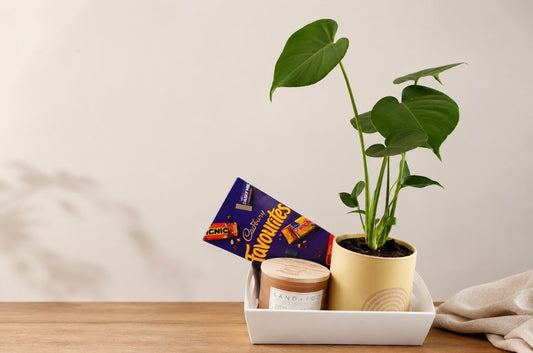 Botanical Bliss Box