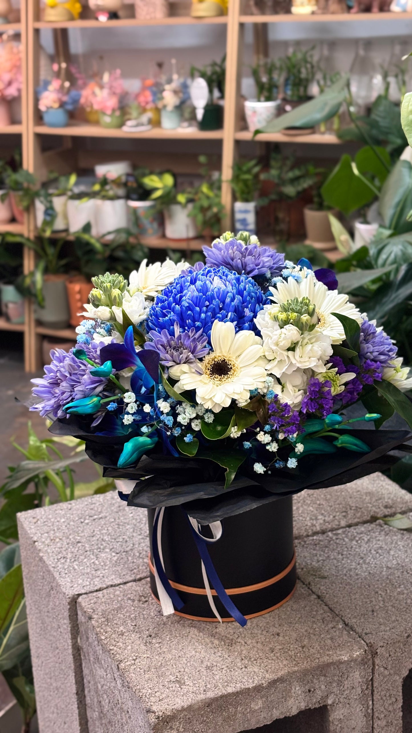 Stylish blue vibe