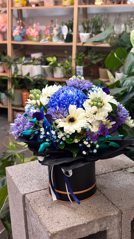 Stylish blue vibe